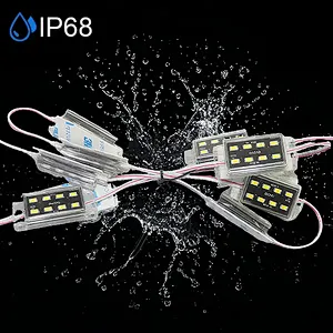 High-Brightness Monochrome Outdoor Waterproof Low-Voltage LED Module Lights